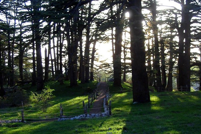 Fabulous Tour to Cedars of God, Besharre & Qozhaya Valley - Good To Know