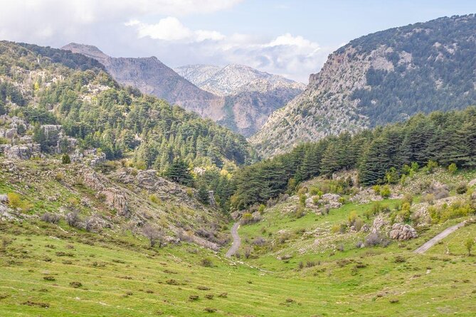 Fabulous Tour to Cedars of God, Besharre & Qozhaya Valley - Customer Reviews