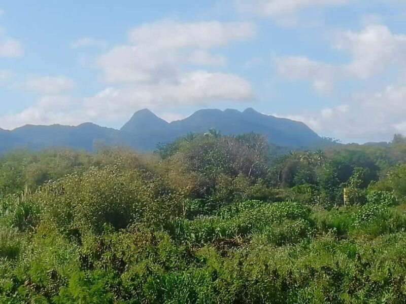 Faces Of St.Lucia. Unique Features of My Awesome Home. - Good To Know