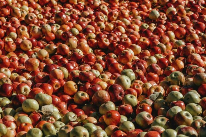 Factory El Gaitero, Villaviciosa, Tazones and Laboral University. - Cider and Cultural Experience