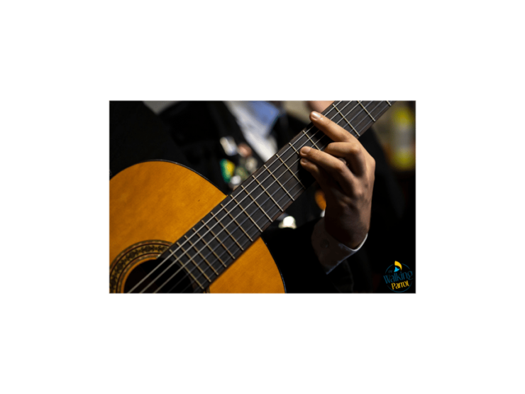 Fado Night: Guided Walking Tour, Dinner and Live Show - Experience Highlights