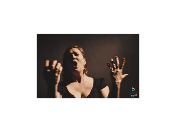Fado Night: Guided Walking Tour, Dinner and Live Show - Booking and Cancellation
