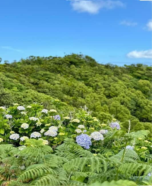 Faial Island: Caldeira Perimeter Hiking Tour PR04 - An Overview of the Faial Caldera Perimeter Hiking Tour