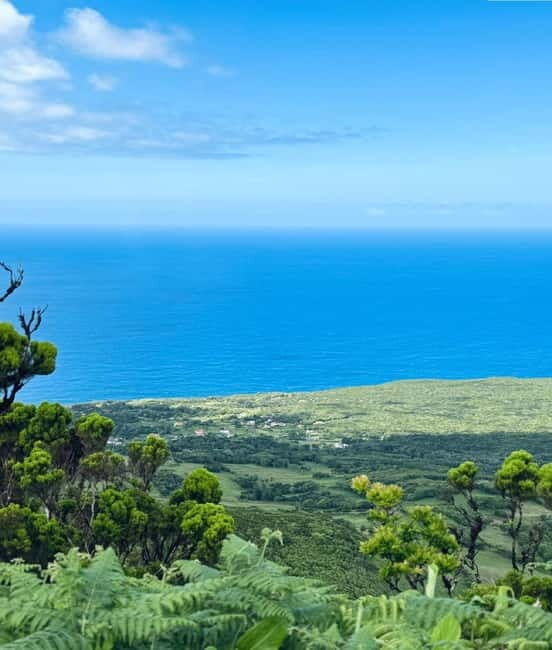 Faial Island: Caldeira Perimeter Hiking Tour PR04 - Authentic Experiences and Insights from Reviews