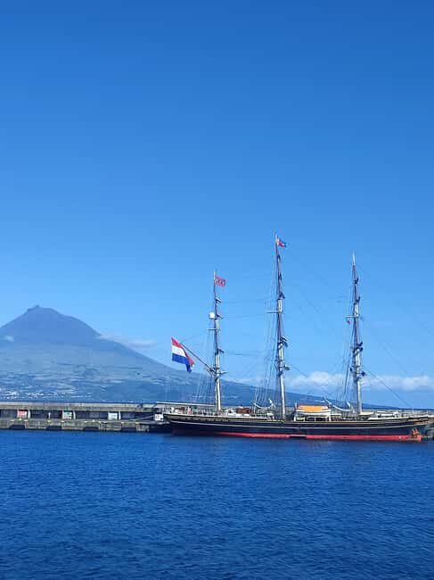 Faial Island: Full Day Tour - Nature & Culture - Why the Tour Offers Great Value