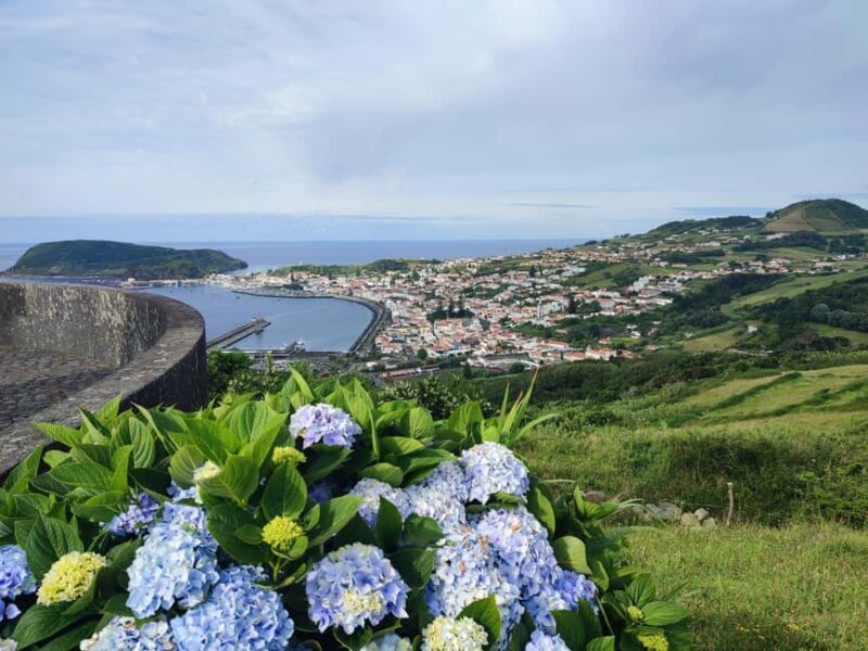 Faial Island: Full Day Tour - Nature & Culture - Who Should Consider This Tour?