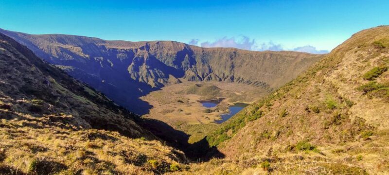 Faial Island: Half-Day Tour  Nature Highlights - Transportation and Group Size