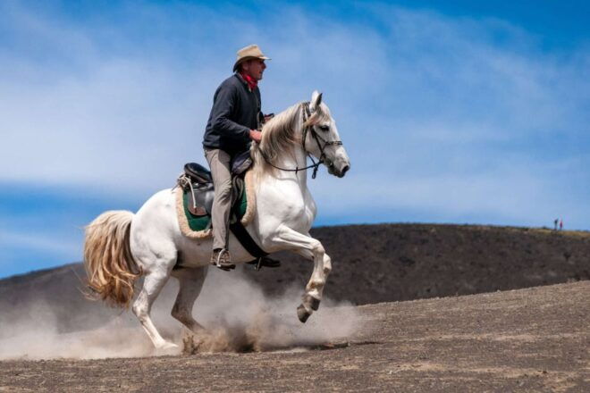 Faial Island: Horseback Riding (3 Hrs - Experienced Riders) - Inclusions in the Activity
