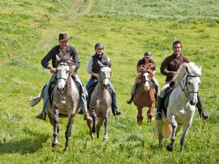 Faial Island: Horseback Riding (3 Hrs - Experienced Riders) - Activity Details