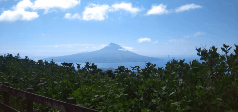 Faial Island: Personalized tour with Pic Nic - What Reviewers Say