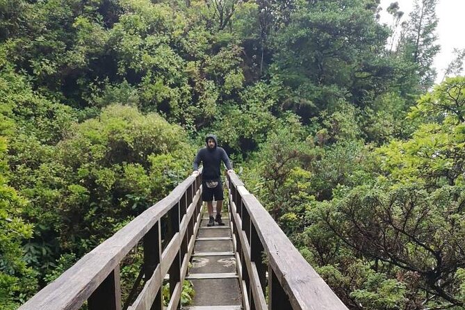 Faial Island Private Levada Hiking Tour (Feb ) - Pricing and Booking Information