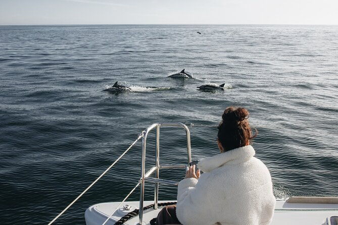 Fair Winds Charter Co. Private Sailing Charter - A Closer Look at the Experience
