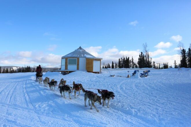 Fairbanks: 1-Hour Alaskan Winter Dog Sledding Adventure - Additional Options