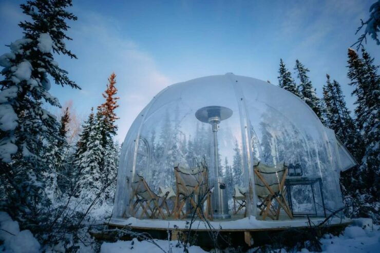 Fairbanks: Aurora Viewing Tour With Transportation - Experience Highlights