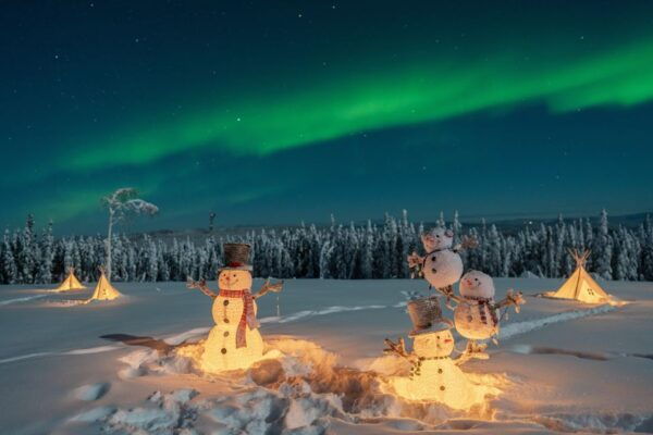 Fairbanks: Aurora Viewing Tour With Transportation - Directions