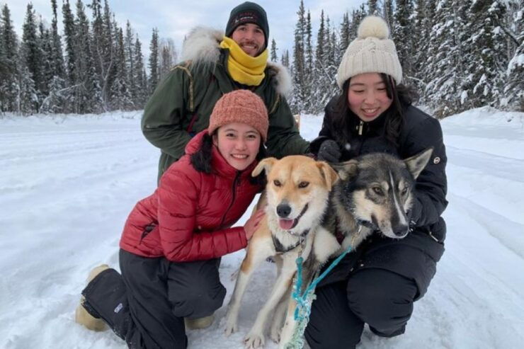 Fairbanks: Dog Sledding and Mushing Experience - Booking Details