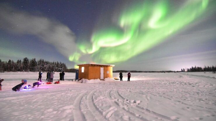 Fairbanks: Dog Sledding and Mushing Experience - Experience Highlights