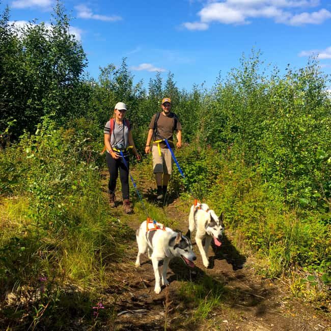 Fairbanks: Husky Hiking Tour - Why This Tour Is a Solid Choice