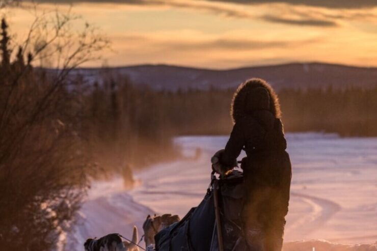 Fairbanks: Interactive Day Mushing Adventure Tour - Experience Highlights