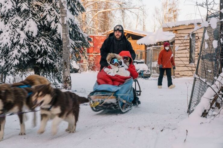 Fairbanks: Malamute Dog Sledding Tour With Transportation - Experience