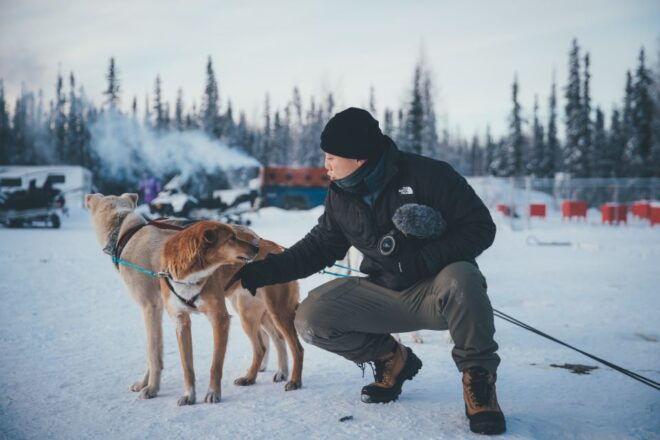 Fairbanks: Malamute Dog Sledding Tour With Transportation - Reservation and Payment