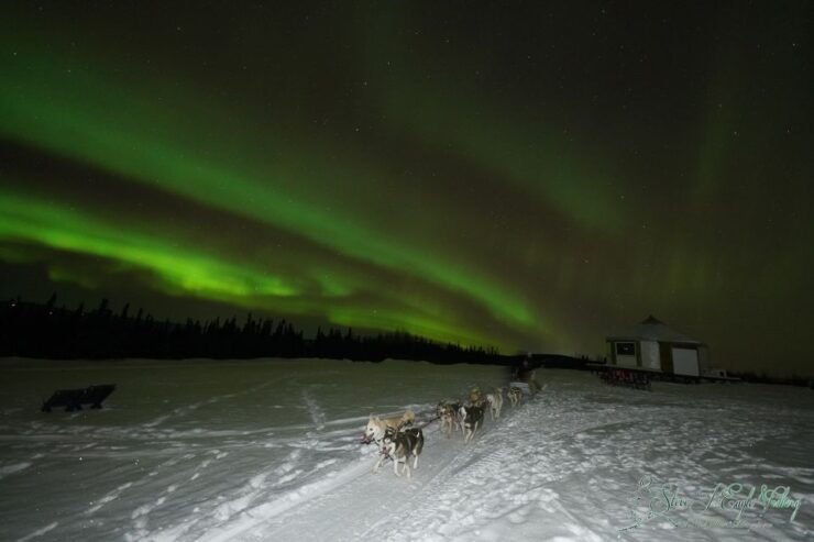 Fairbanks: Moonlight Dog Sled, Dinner & Northern Lights - Activity Details
