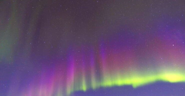 Fairbanks: Moonlight Dog Sled, Dinner & Northern Lights - Experience