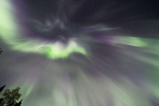Fairbanks: Moonlight Dog Sled, Dinner & Northern Lights - Reservation and Payment
