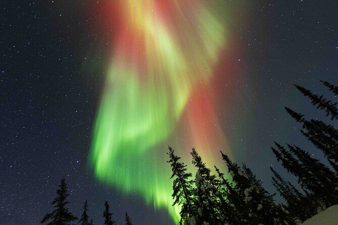 Fairbanks Northern Lights Adventure with free Aurora portraits - Practical Details and Tips