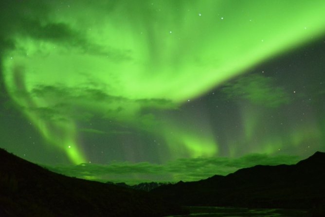 Fairbanks Northern Lights Tour - Price and Contact Information