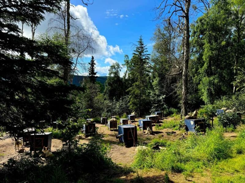 Fairbanks: Siberian Husky Kennel Tour - Fairbanks: Siberian Husky Kennel Tour – An Authentic Alaskan Experience