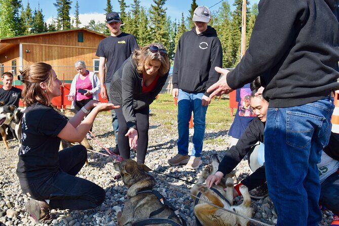 Fairbanks Sled Dog Adventure with Campfire & S'mores - Good To Know