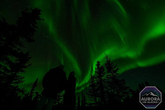 Fairbanks Small-Group Aurora Chasing Tour - What to Expect