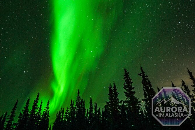 Fairbanks Small-Group Aurora Chasing Tour - Reviews and Testimonials