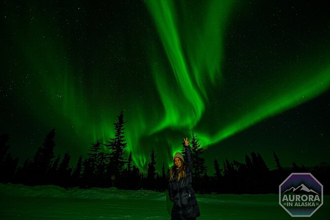 Fairbanks Small-Group Aurora Chasing Tour - Background