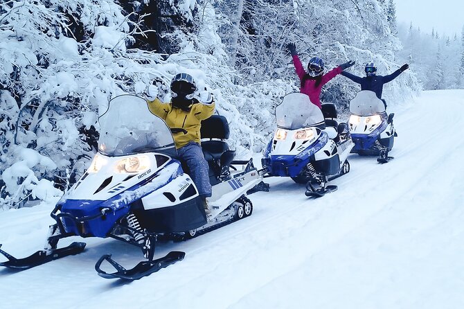 Fairbanks Snowmobile Adventure From North Pole - The Sum Up