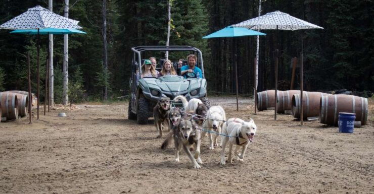 Fairbanks: Summer Mushing Cart Ride and Kennel Tour - Booking Details