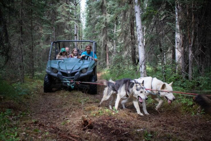 Fairbanks: Summer Mushing Cart Ride and Kennel Tour - Experience Highlights