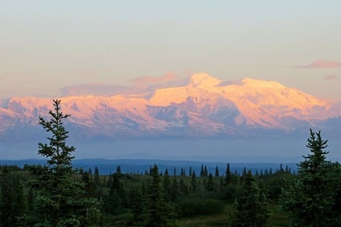 Fairbanks to Denali Shuttle Service - Additional Info