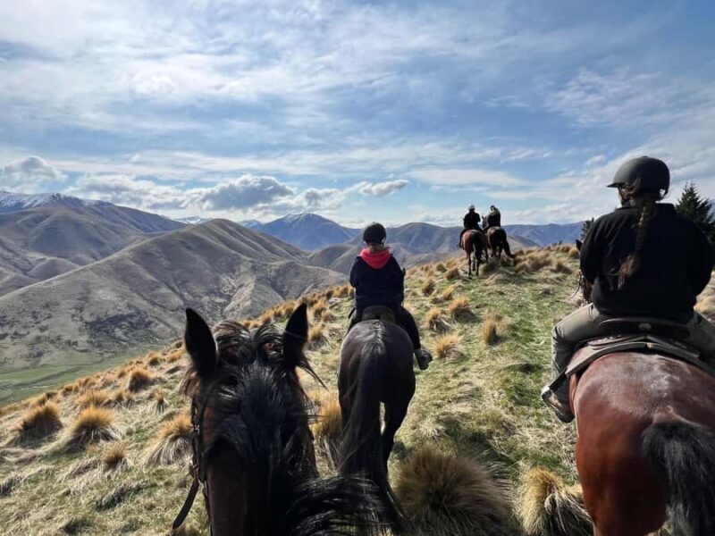 Fairlie, NZ: 5-Day Horse Adventure with Endless Mountains - FAQs