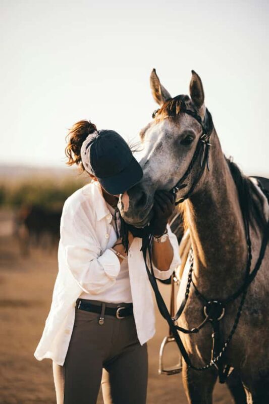 Fairlie,New Zealand: Full Day Private Backcountry Horse Trek - Good To Know