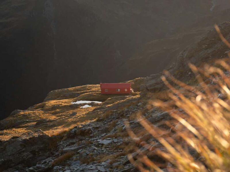 Fairlie,New Zealand: Full Day Private Backcountry Horse Trek - What to Consider Before Booking