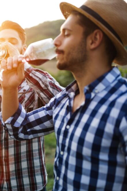 Fairplay and Pleasant Valley Digital Wine Tasting Passport - Wine Selection and Scenery