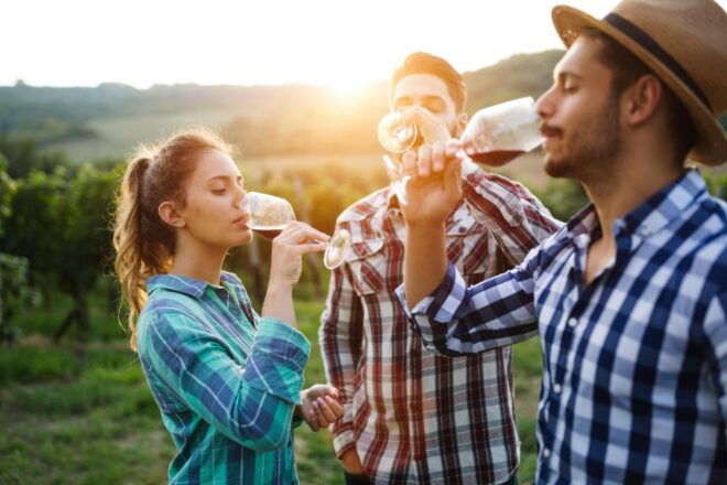 Fairplay and Pleasant Valley Digital Wine Tasting Passport - Redemption Process and Guidelines