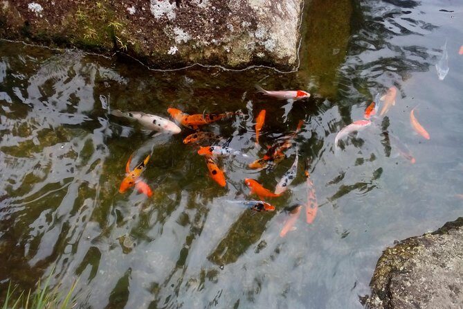 Fairy Tale Colmar Tropicale, Japanese Garden, Genting Highlands - Who Should Consider This Tour?