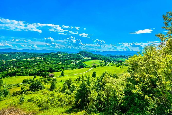Fairytale Castle & Delicious Wine Tasting and Lunch - Tour Highlights