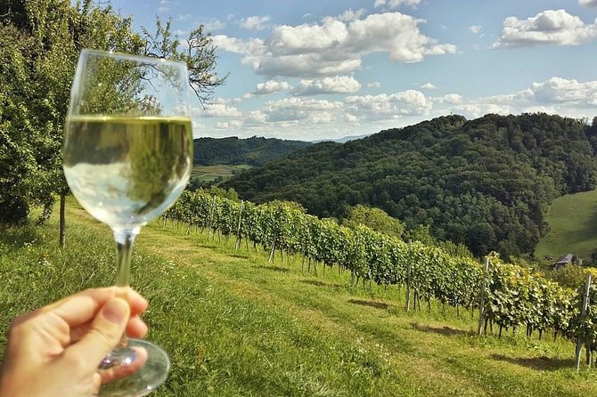 Fairytale Castle & Delicious Wine Tasting and Lunch - Reviews