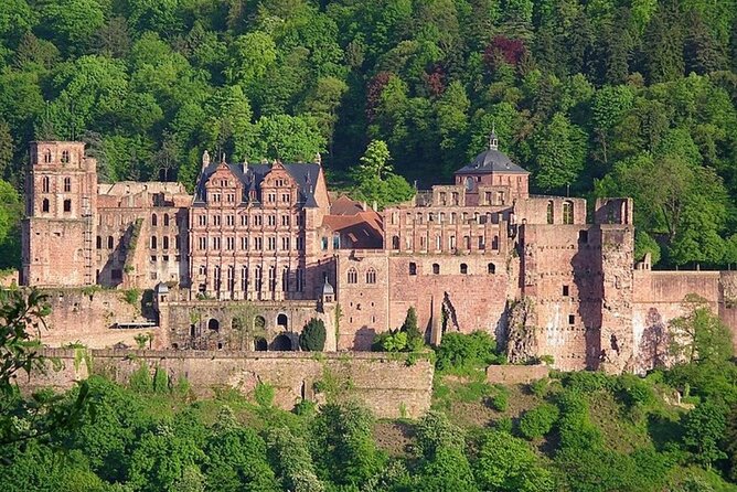 Fairytale Heidelberg Castle With Certified Tourist Guide - Certified Tourist Guide Information