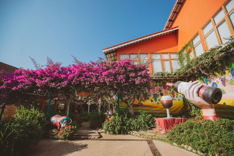 Fairytale Land and Vinh Tien Wine Cellar Ticket in Da Lat - A storybook village with a local purpose