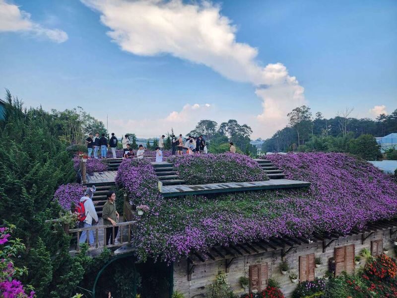Fairytale Land and Vinh Tien Wine Cellar Ticket in Da Lat - Is the ticket good value?